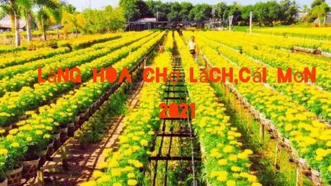 Chính sách đại lý của Hotspot Matrix: Cơ hội hợp tác bền vững trong ngành video ngắn_Ứng dụng Hotspot Matrix