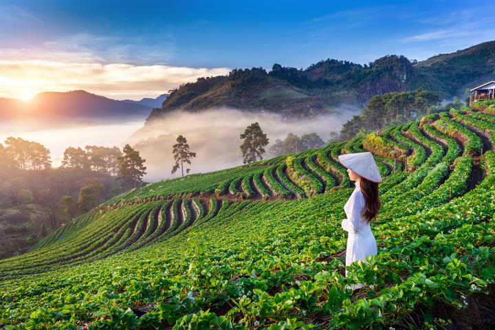 Angela Phương Trinh dẫn đầu - Cảm hứng video marketing từ Hotspot Matrix
