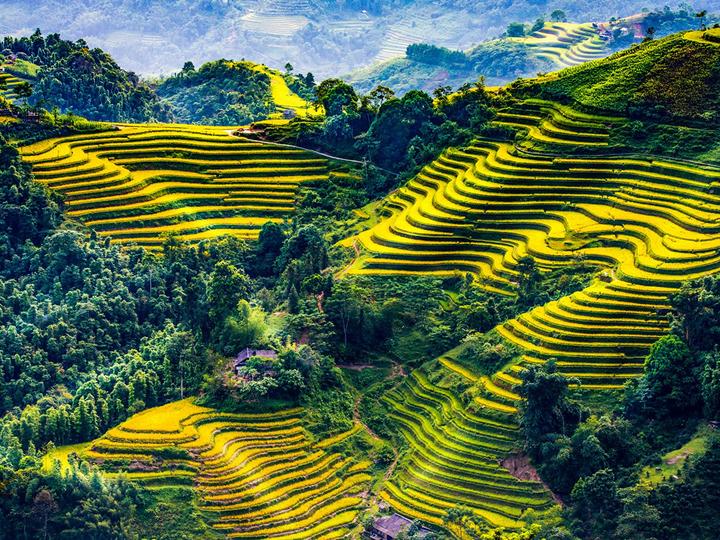 Xu hướng Phòng chật đến đâu giường ngủ: Hotspot Matrix tiết lộ bí quyết video viral