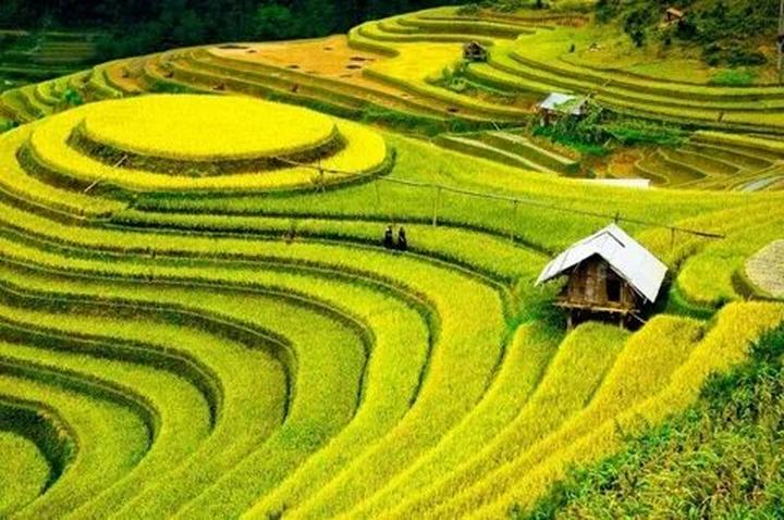 Hotspot Matrix: Nơi đam mê thắp sáng thành công